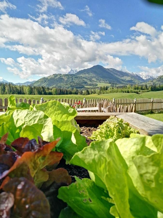 Landhaus Bergblick 코센 외부 사진